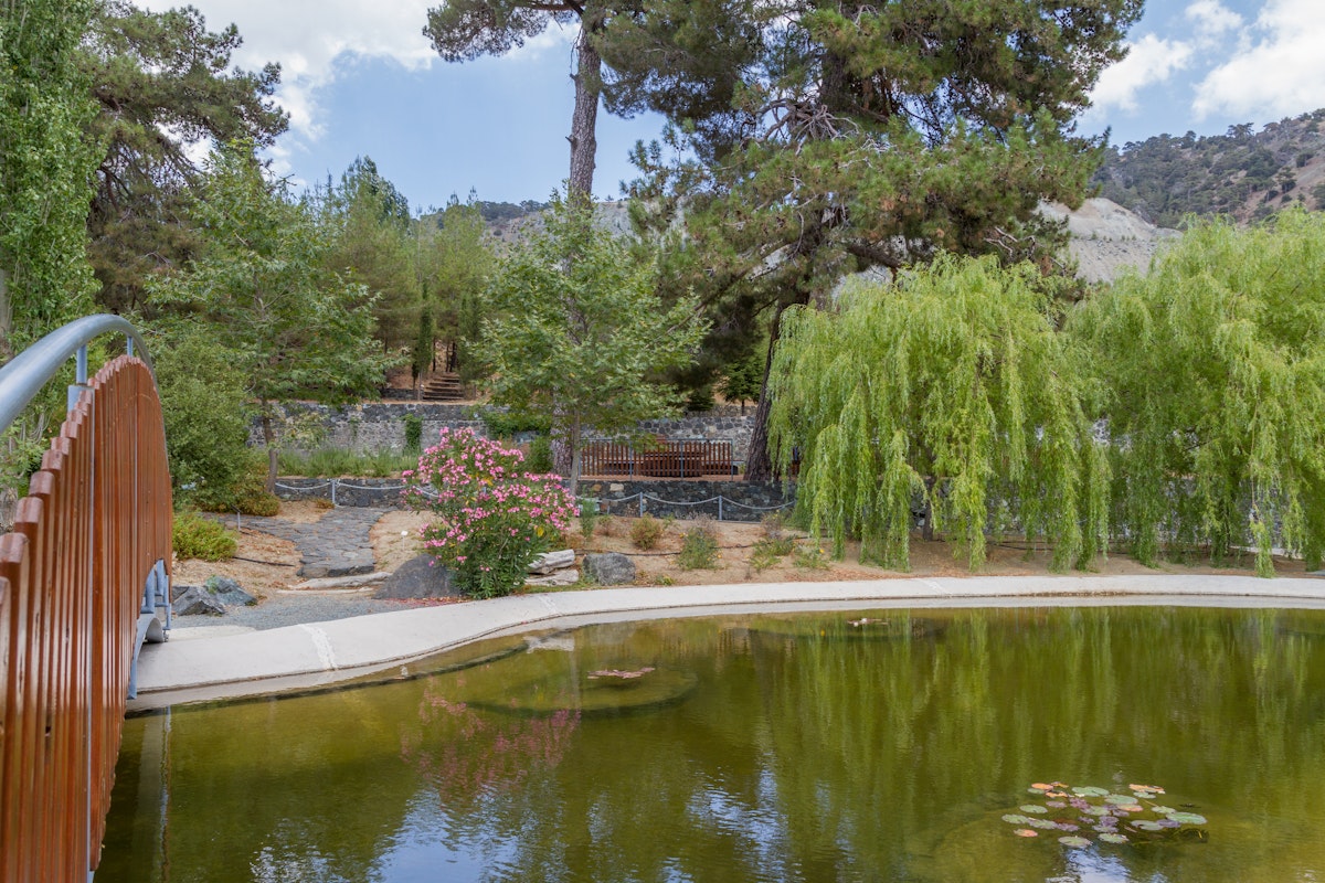 Bridge and Pond at the Troodos Botanical Gardens in the summer.