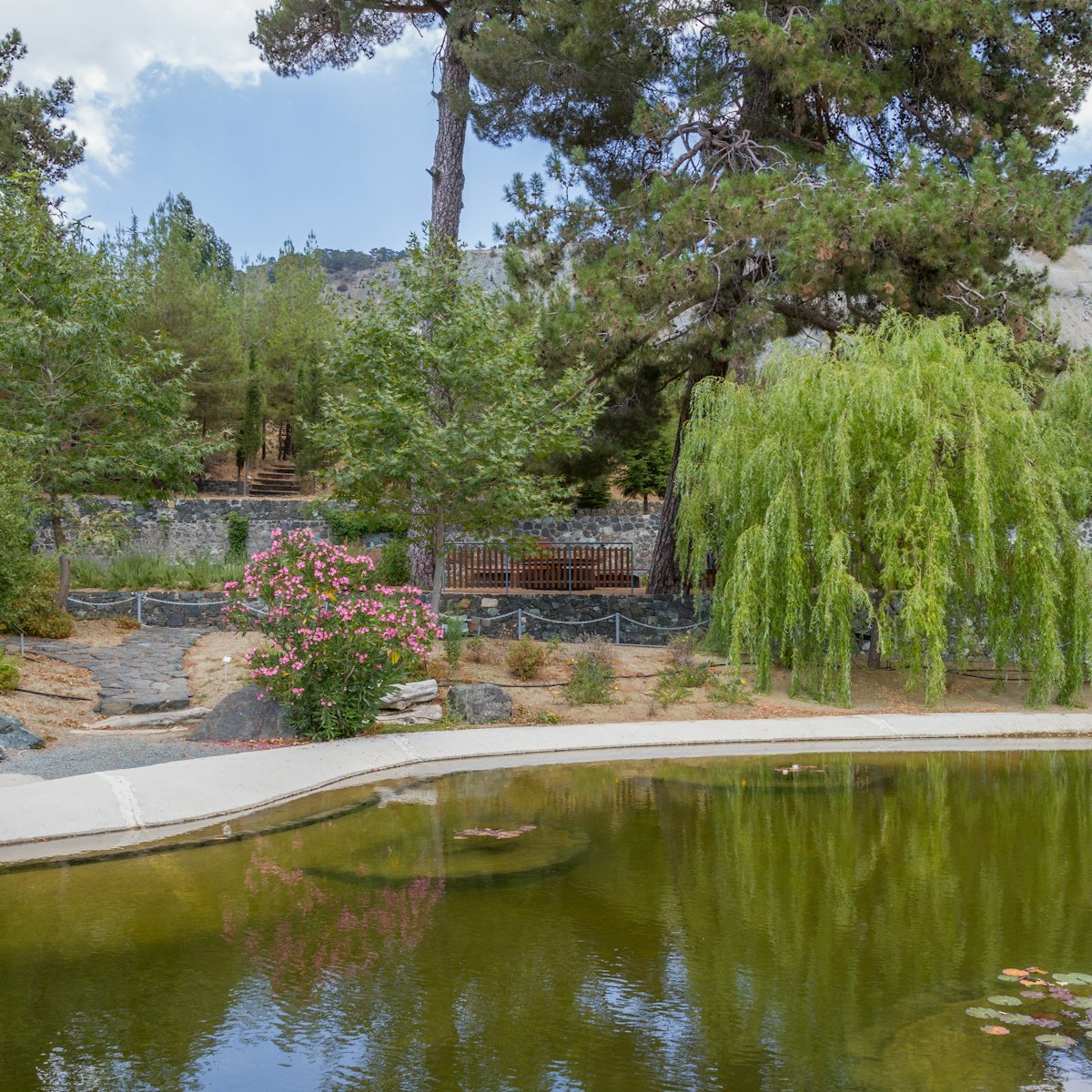 Bridge and Pond at the Troodos Botanical Gardens in the summer.
