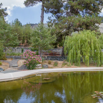 Bridge and Pond at the Troodos Botanical Gardens in the summer.