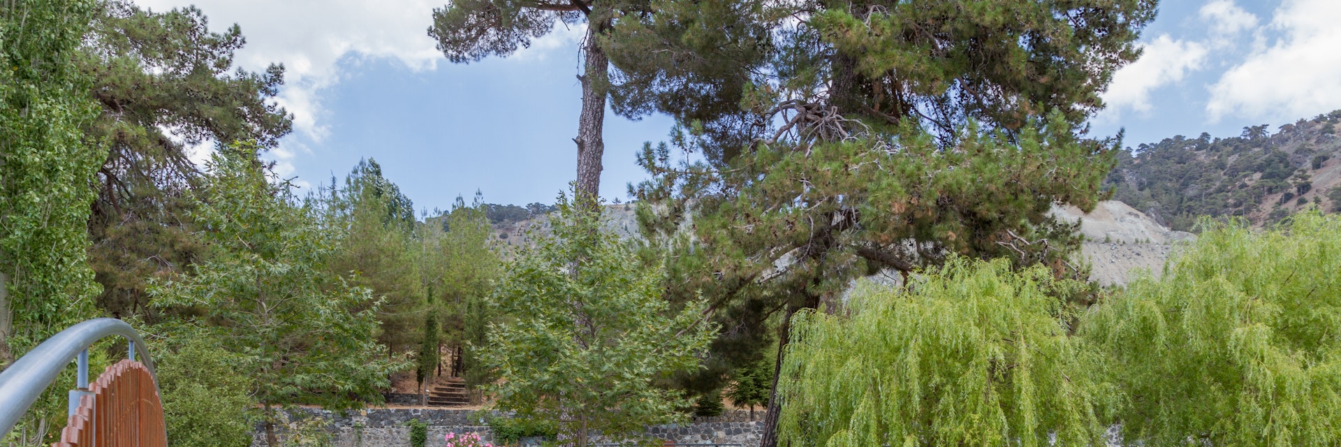 Bridge and Pond at the Troodos Botanical Gardens in the summer.