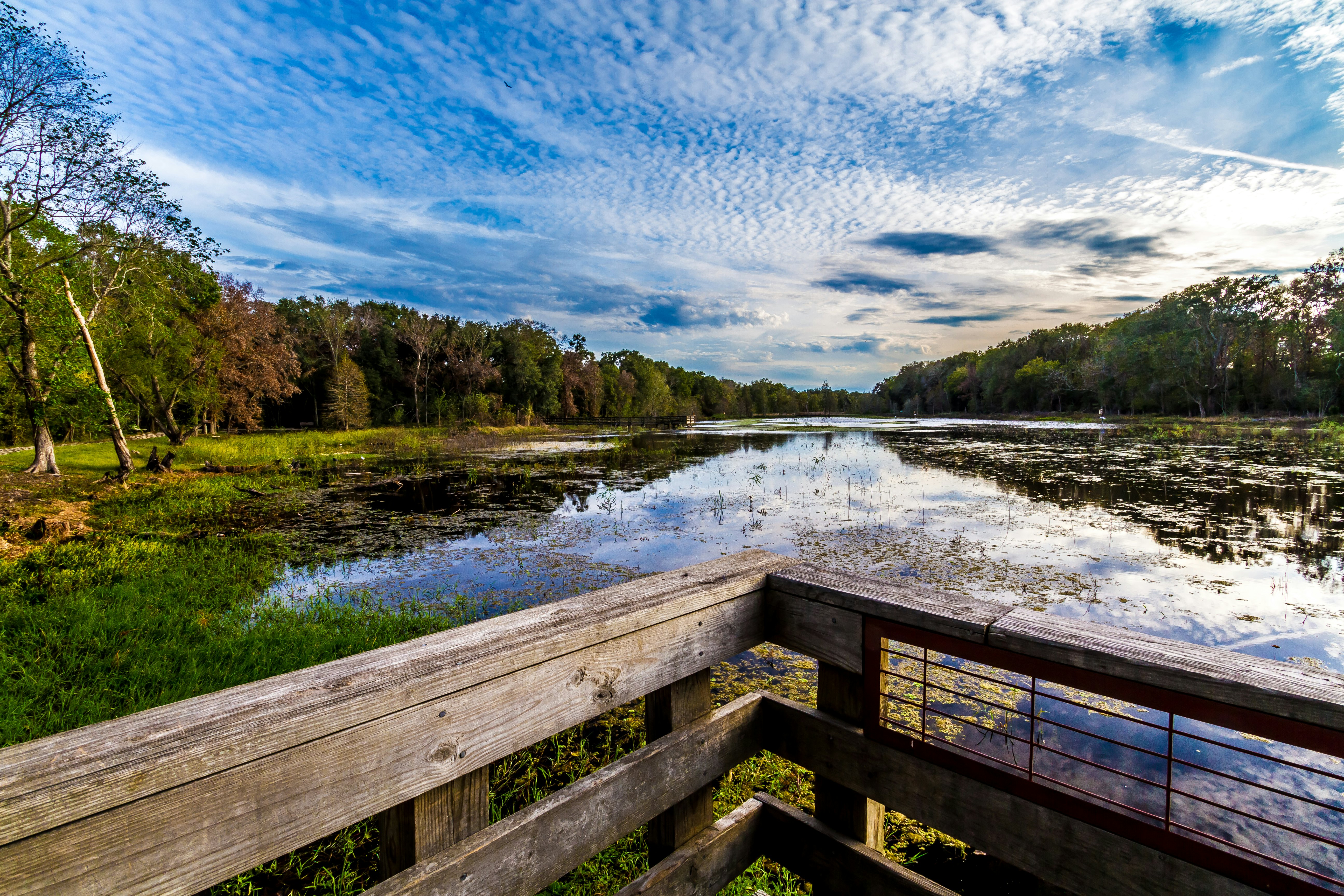 Dock at Creekfield Lake in Brazos Bend State Park.
