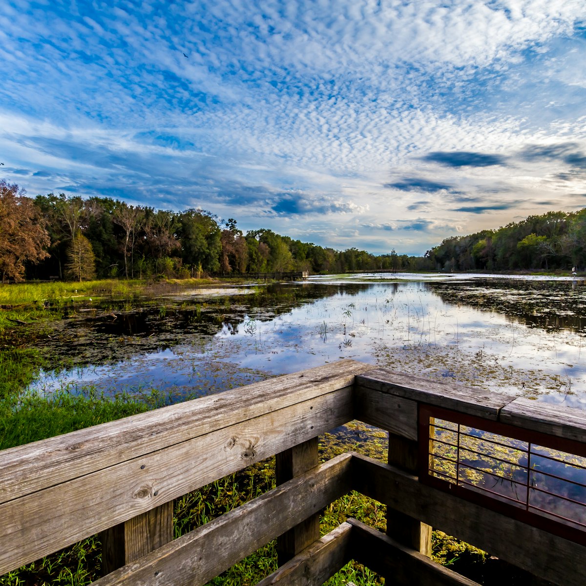 Dock at Creekfield Lake in Brazos Bend State Park.