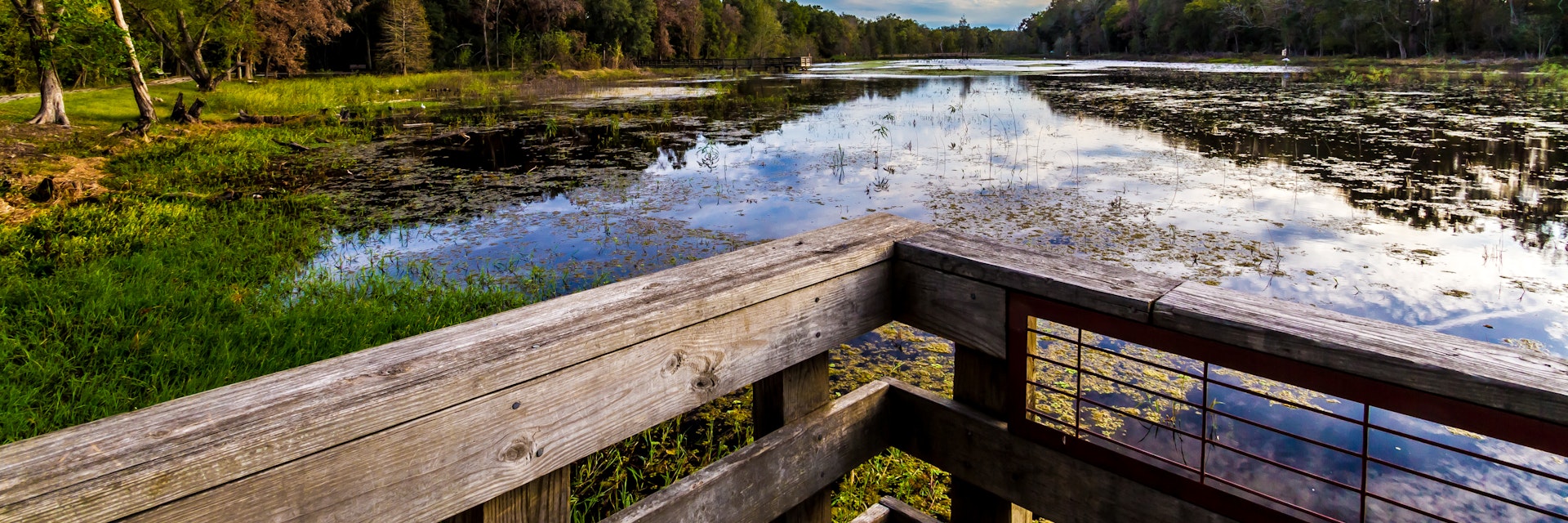 Dock at Creekfield Lake in Brazos Bend State Park.