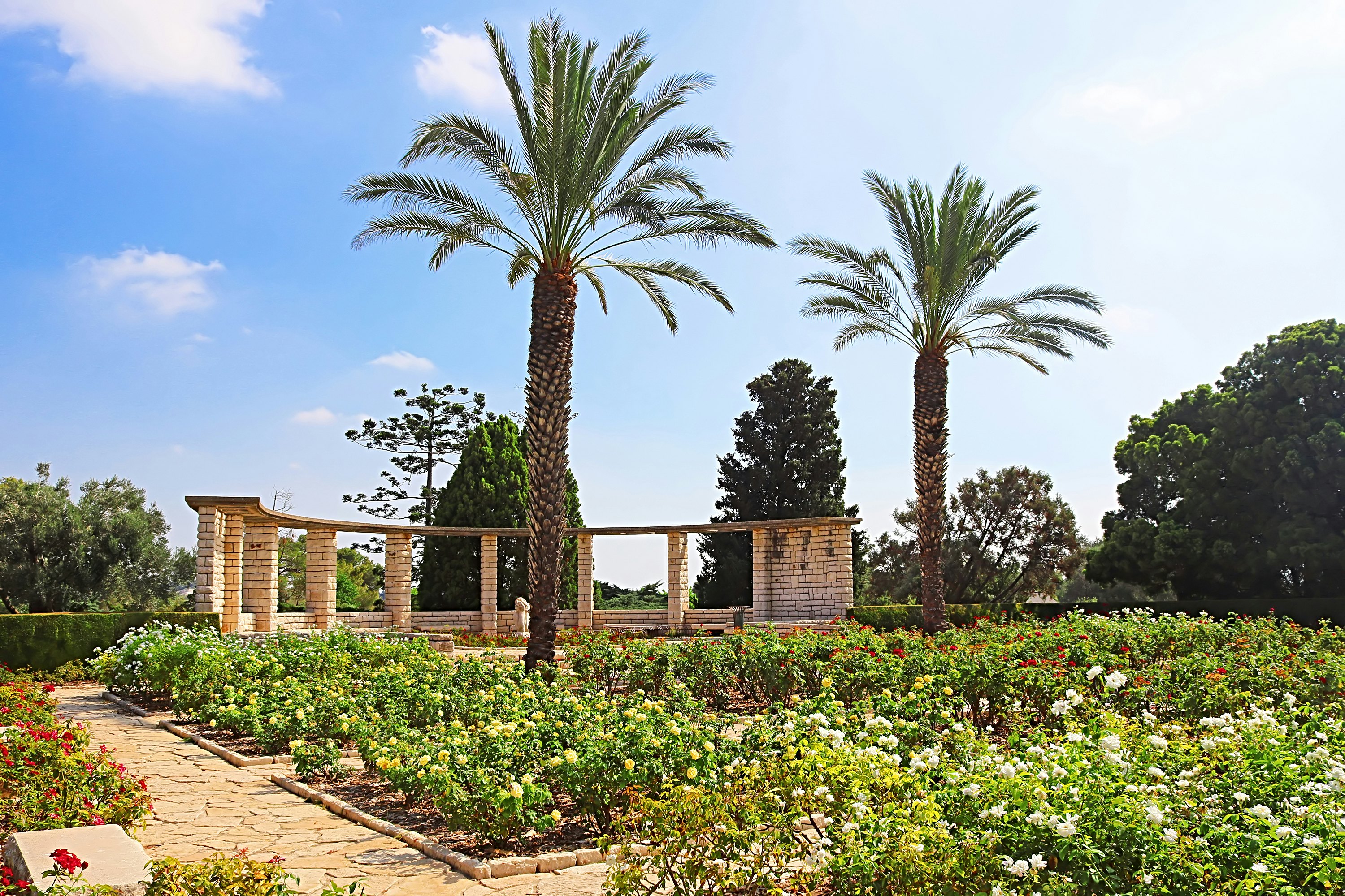 Rose garden and palms, Park Ramat Hanadiv, Israel.