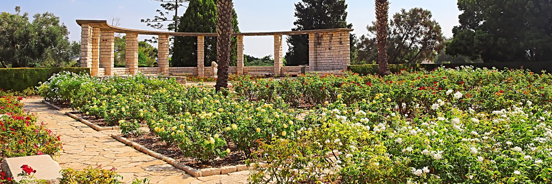 Rose garden and palms, Park Ramat Hanadiv, Israel.