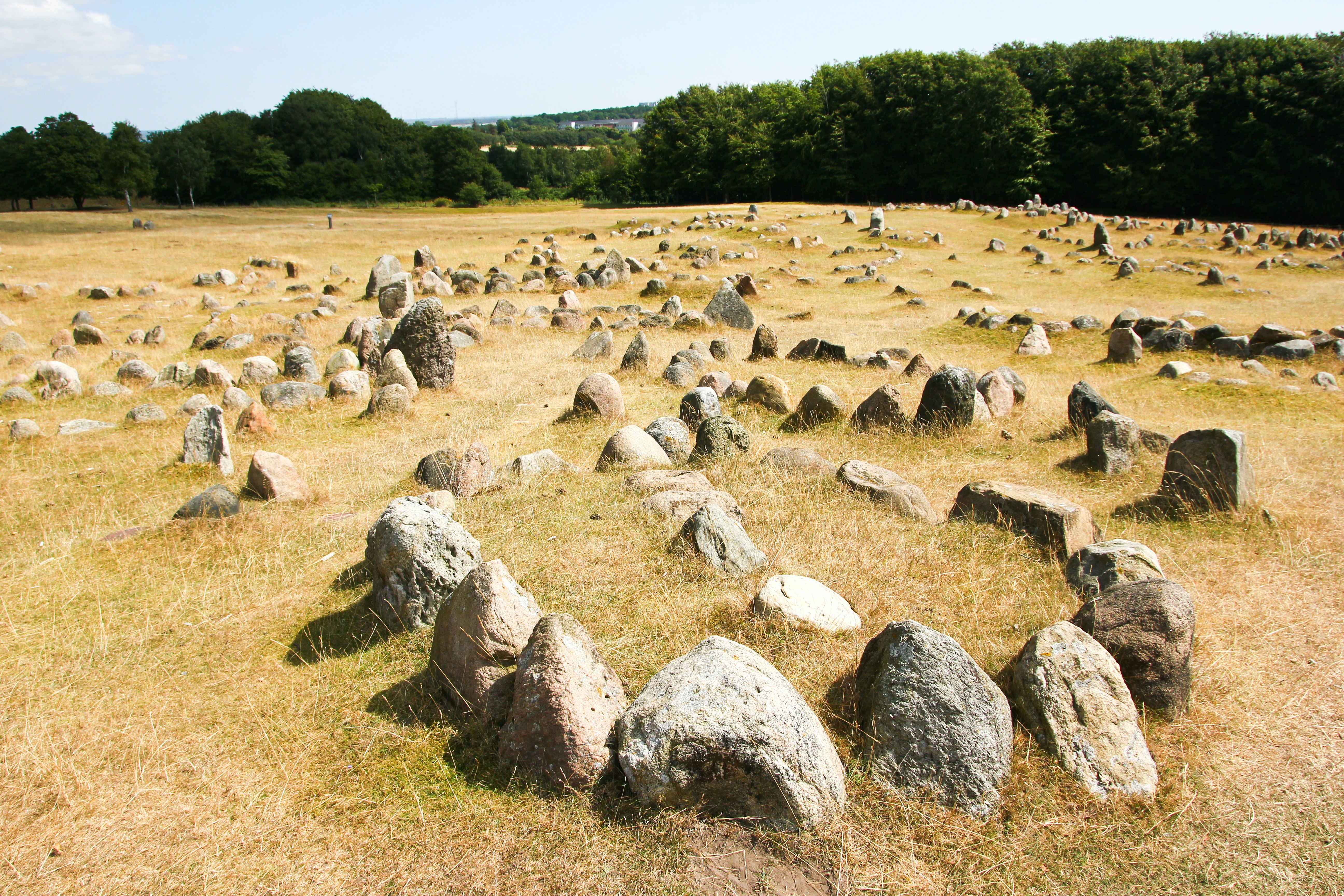 The old viking cemetery in Aalborg in Denmark, Lindholm Høje.