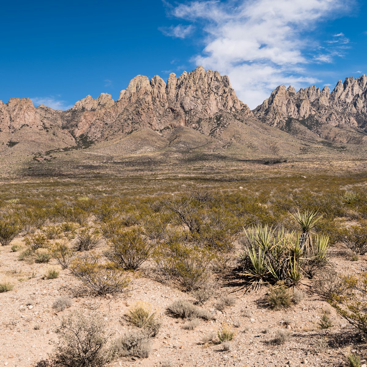 Organ Mountains Desert Peaks National Monument, New Mexico.