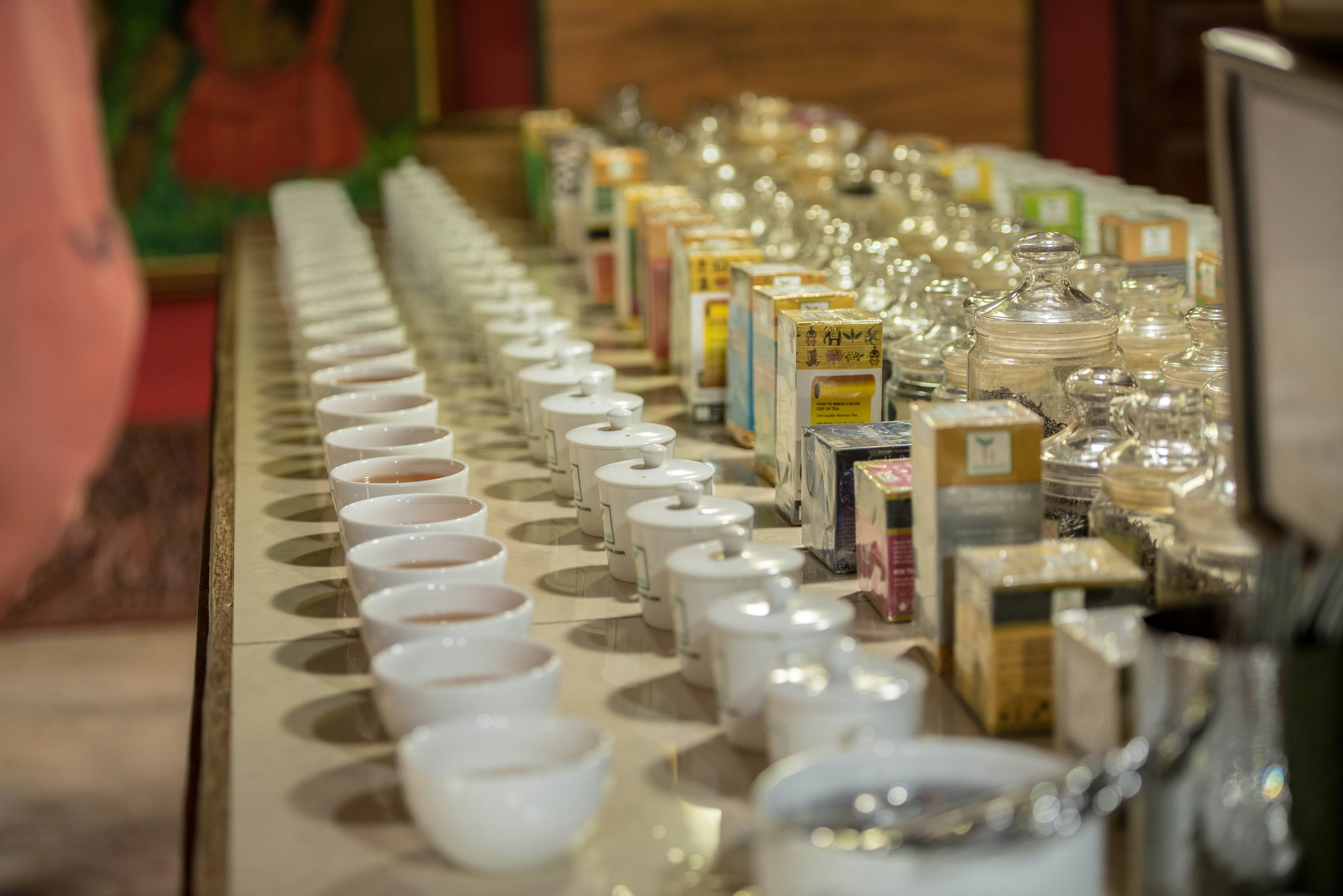 Tea tasting  in the he Handunugoda Tea Estate and Tea Museum.