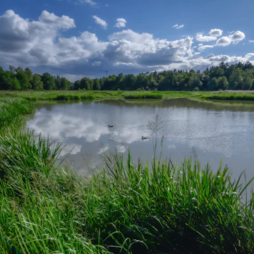 The lake Isbladskarret in Djurgarden island of Stockholm City in Sweden, as seen from the bird watching point, in the Royal National City Park.