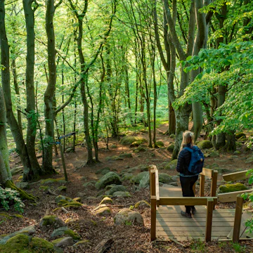 Lush forests in Stenshuvud National Park.
