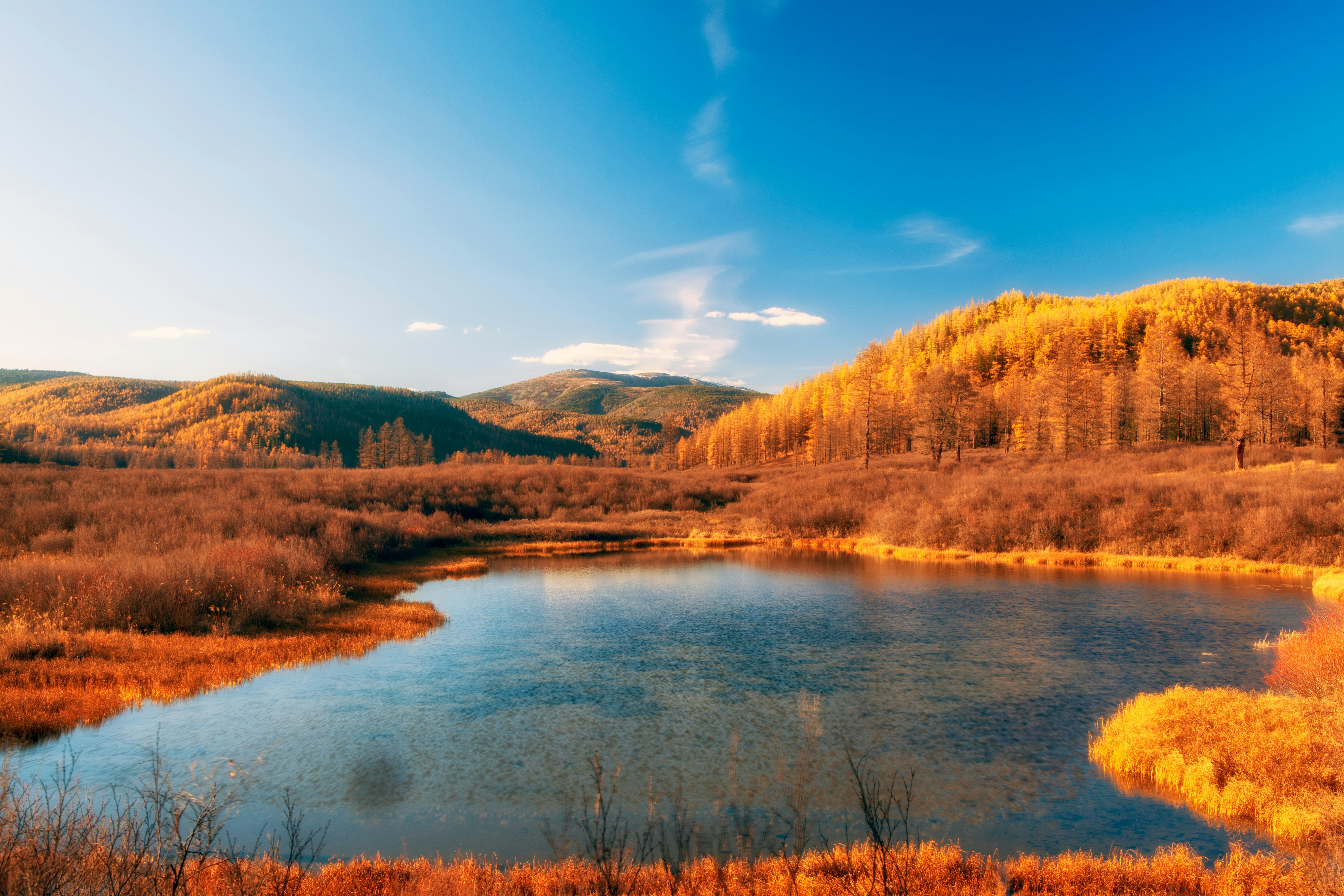The "Burkhan Khaldun" sacred mountain.