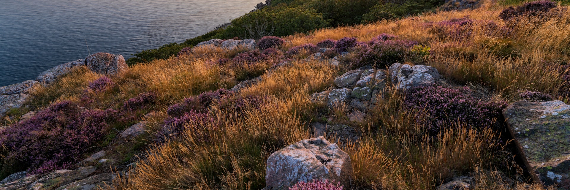 Summer sunset at Kullaberg nature reserve in southern Sweden.