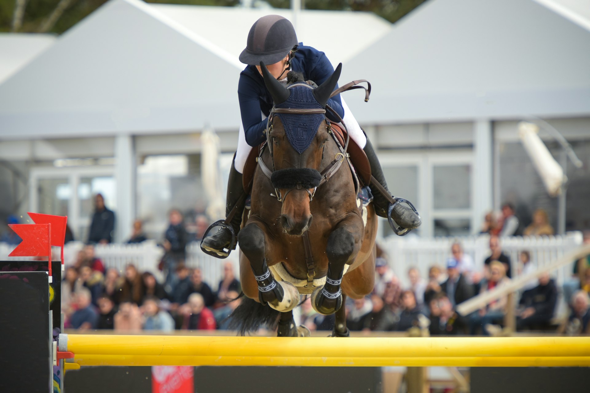 Closeup on an equestrian show-jumping competition in the city of Fontainebleau