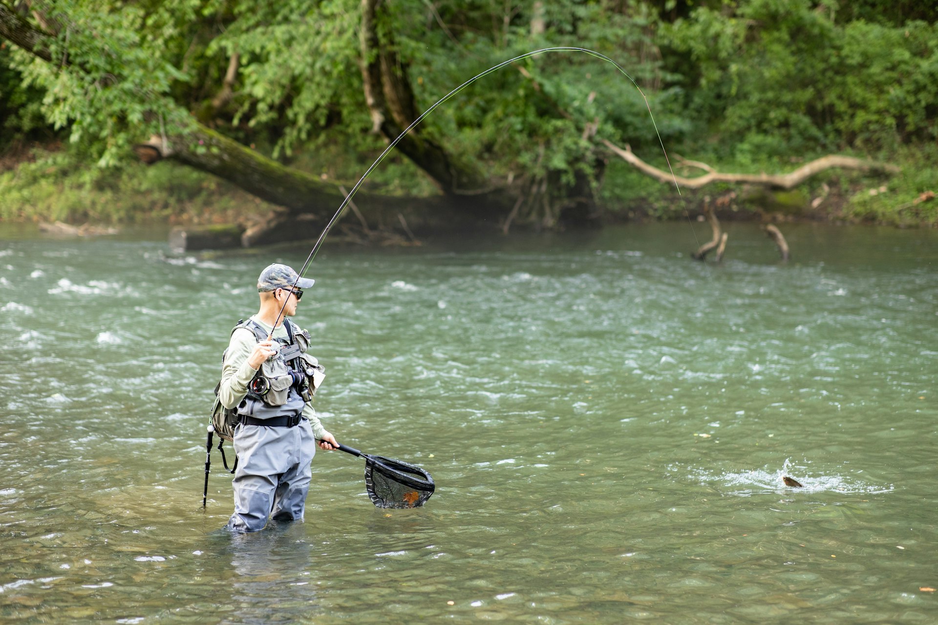 A fly fisher standing in the river hauls in a trout