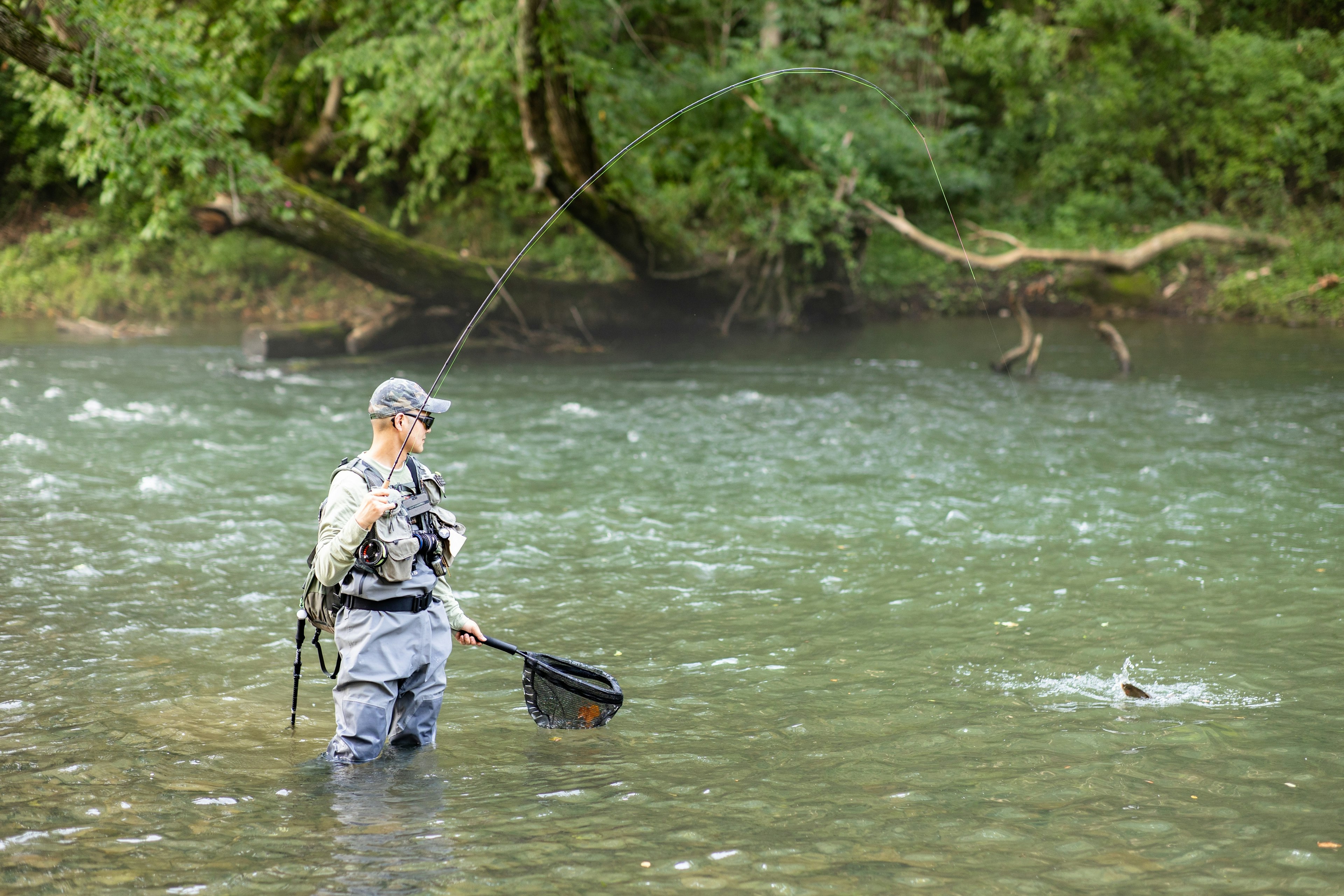 A fly fisher standing in the river hauls in a trout