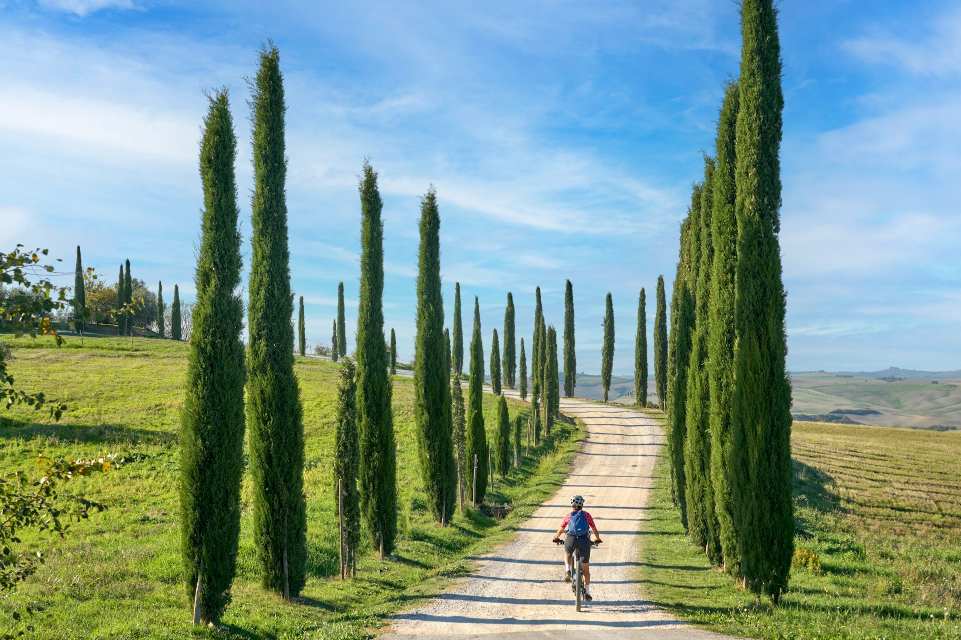 Senior woman riding her electric mountain bike along a cypress avenue in Tuscany, Italy