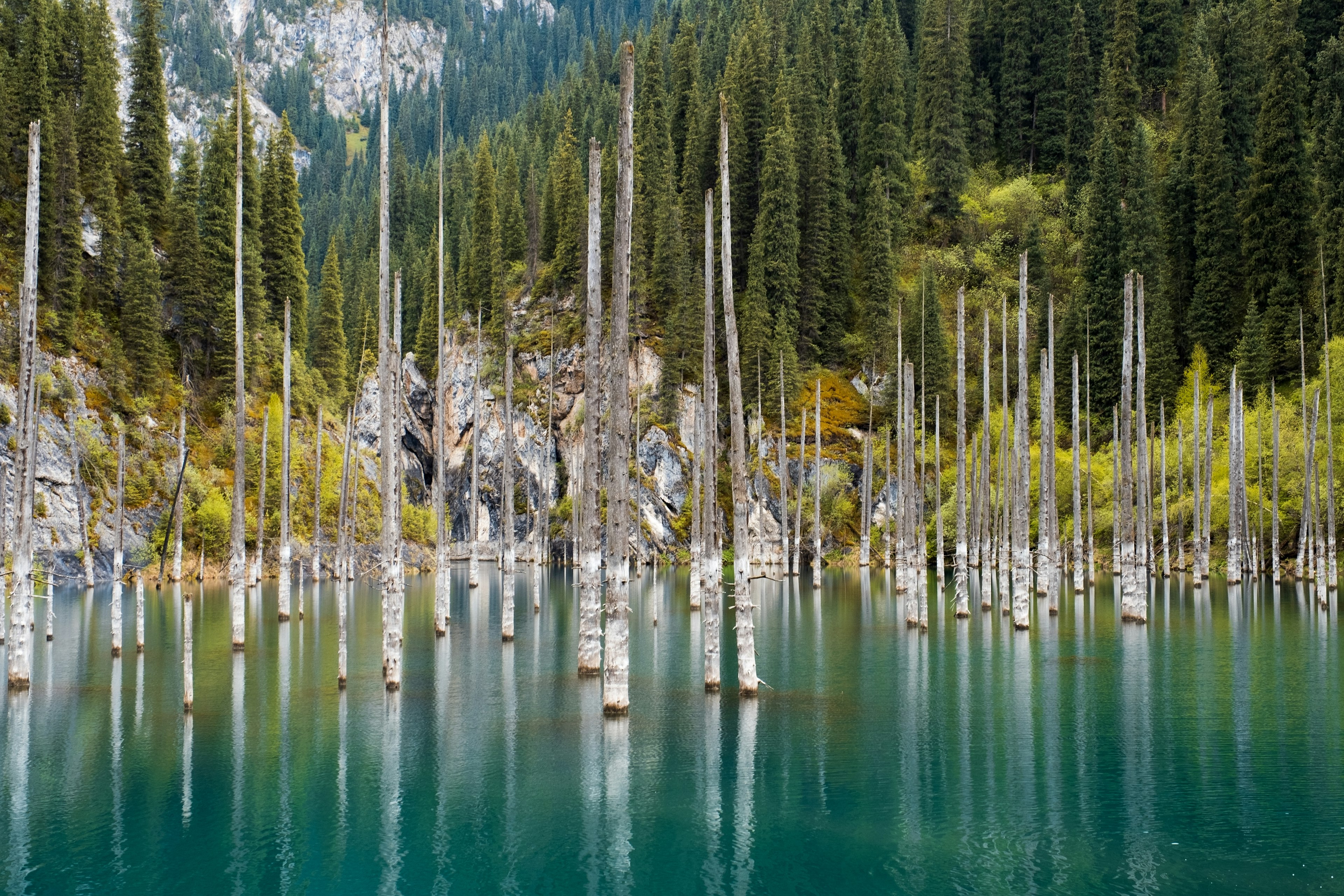 Dead submerged trees in Kaindy (Kaiyndy) Lake, southeastern Kazakhstan