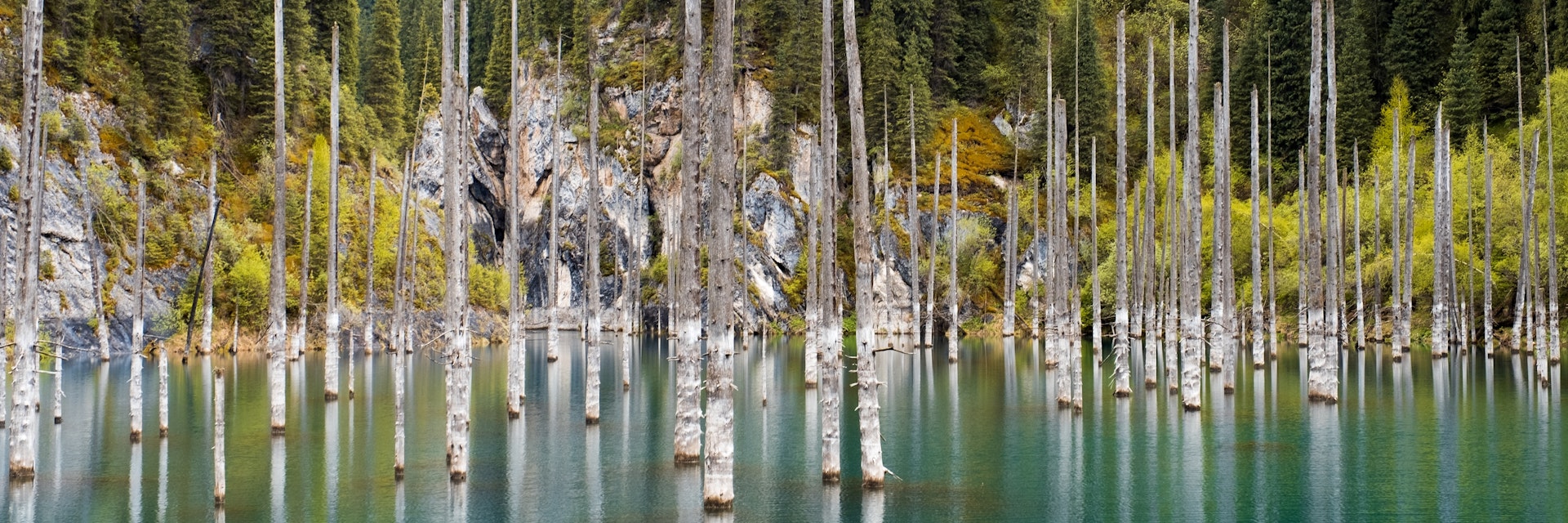 Dead submerged trees in the Kaindy (Kaiyndy) lake in South East Kazakhstan. 