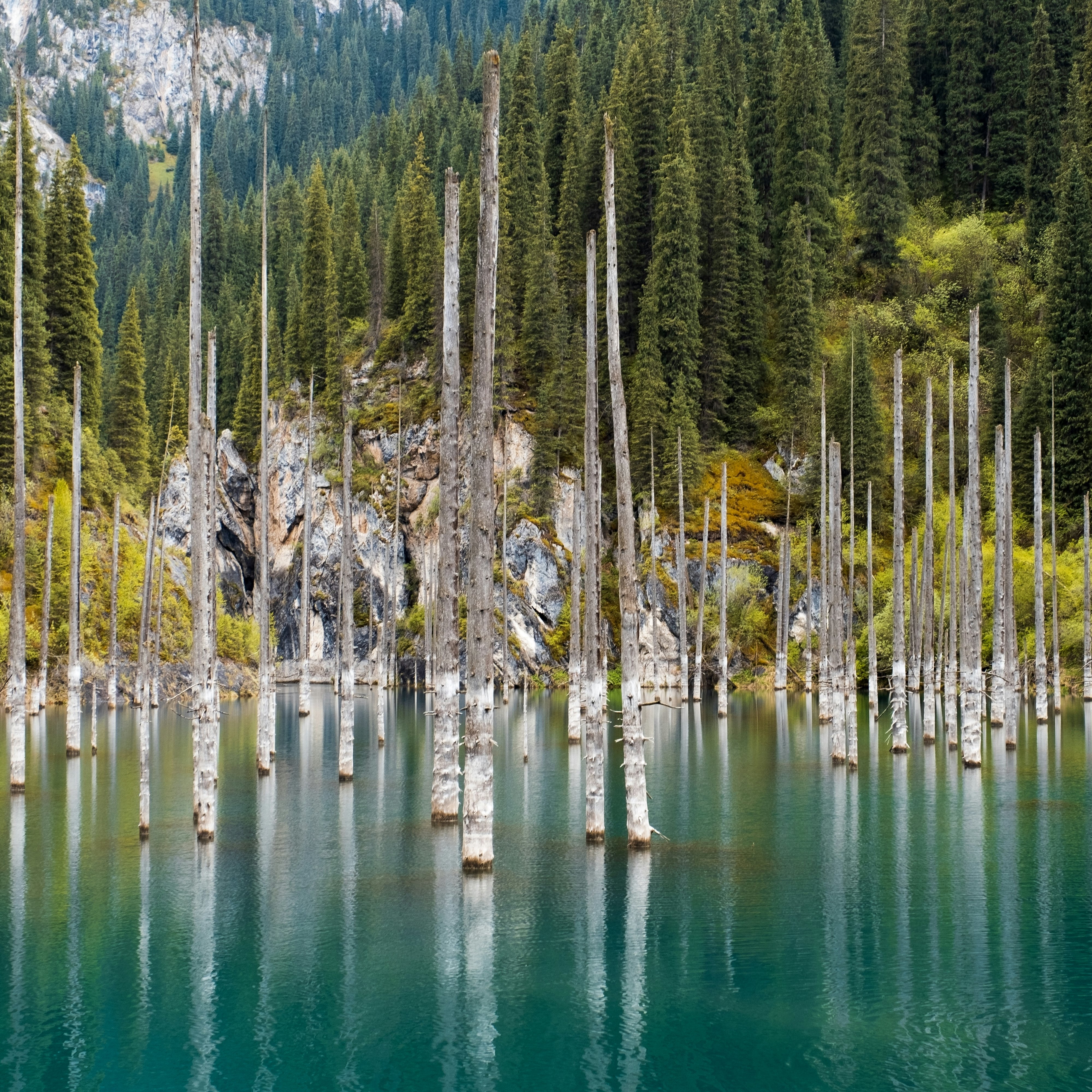 Dead submerged trees in the Kaindy (Kaiyndy) lake in South East Kazakhstan.