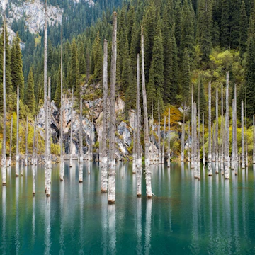 Dead submerged trees in the Kaindy (Kaiyndy) lake in South East Kazakhstan.
