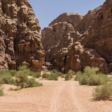 Entrance to Barrah Canyon, Wadi Rum, Jordan.