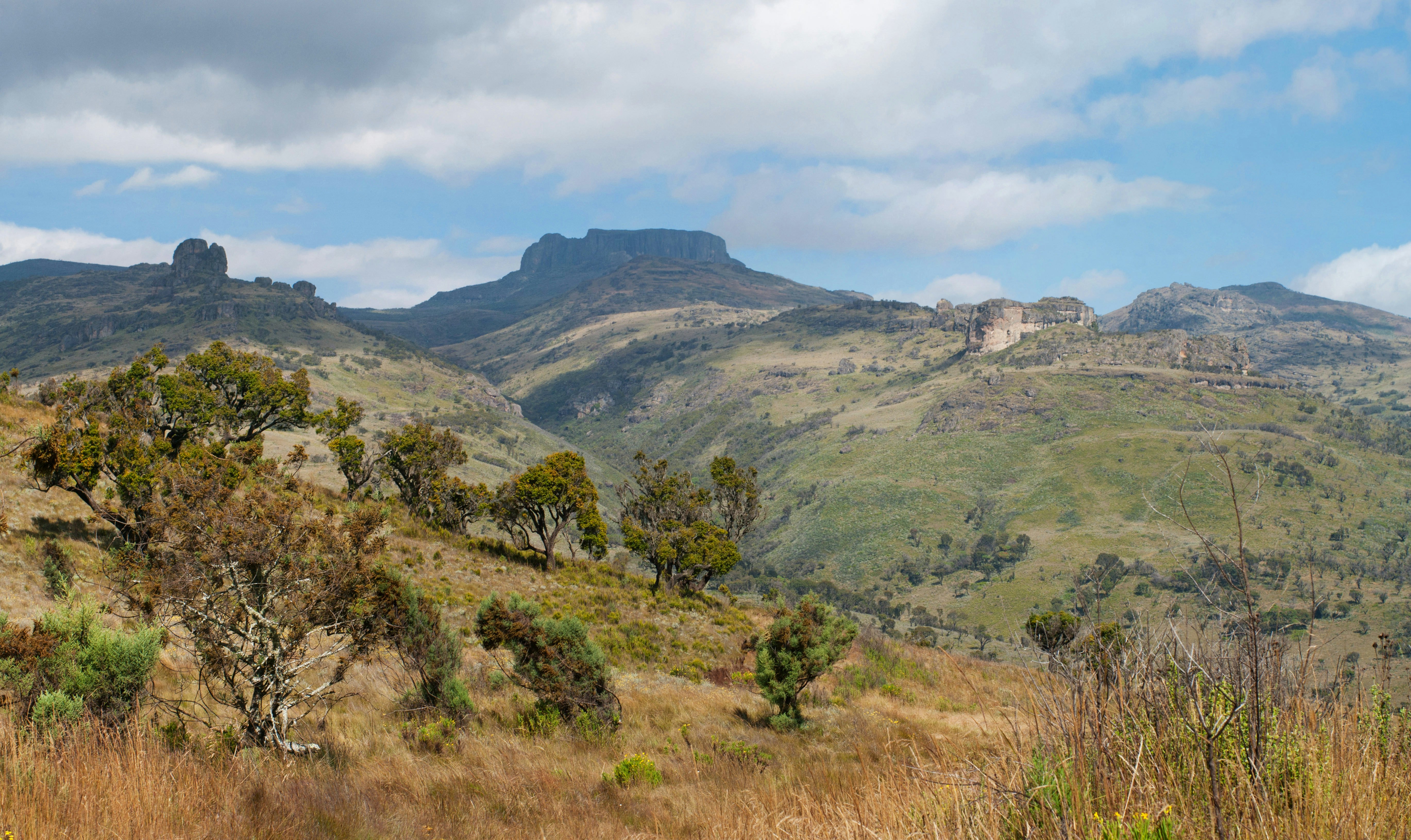 Landscape in Mount Elgon National Park, Kenya.