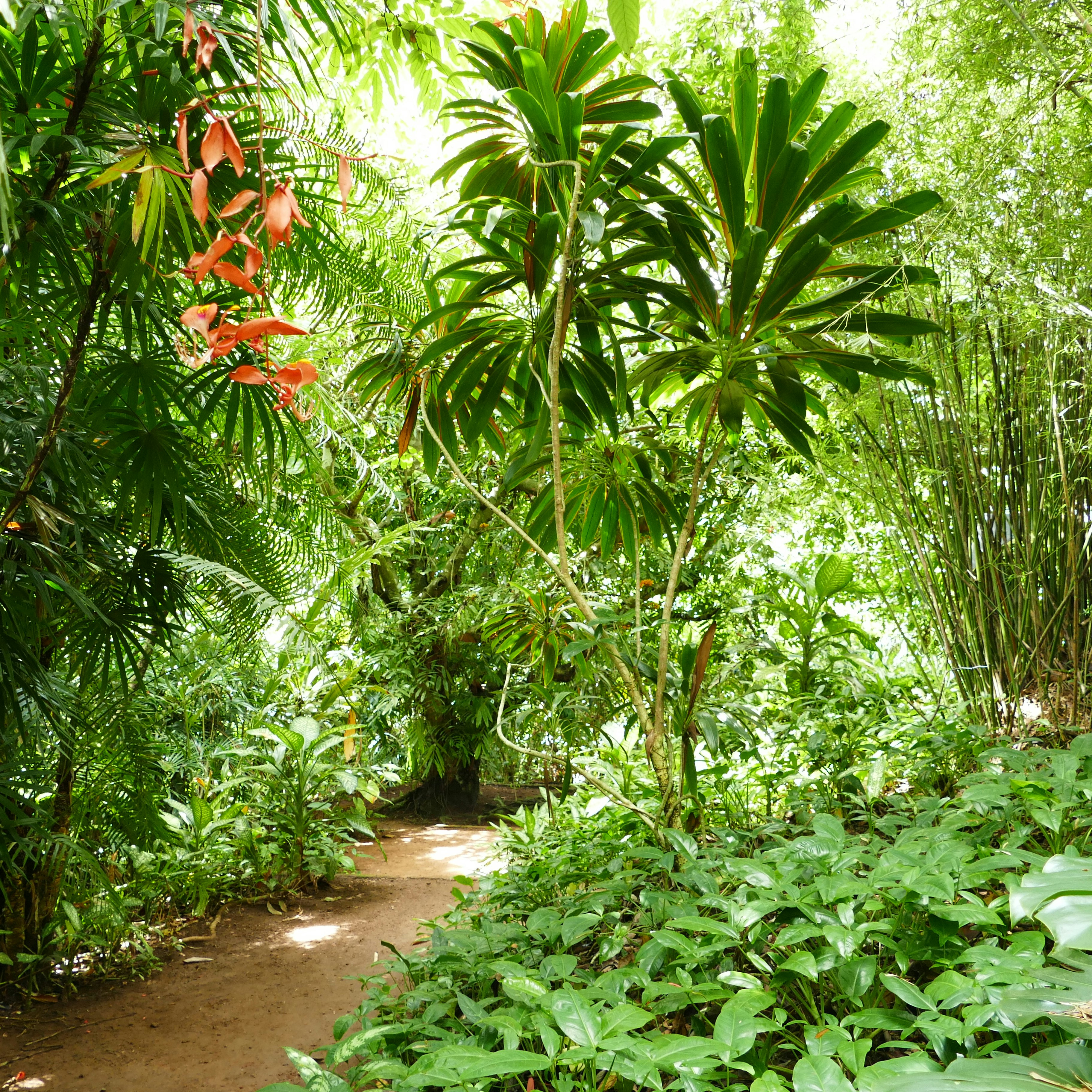 Brief Gardens, Home of Bevis Bawa.