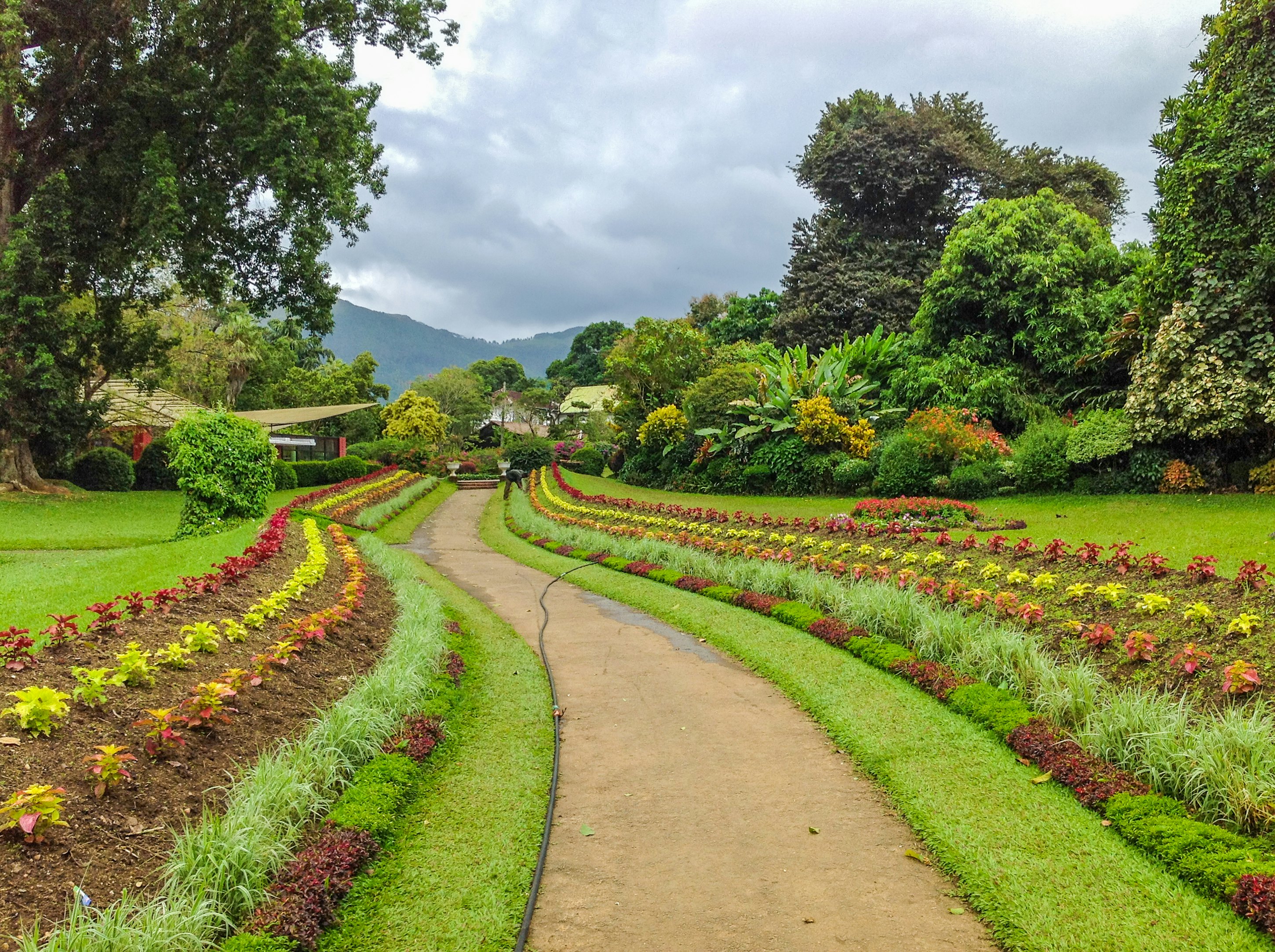 Royal Botanical Garden in Peradeniya, Sri Lanka.