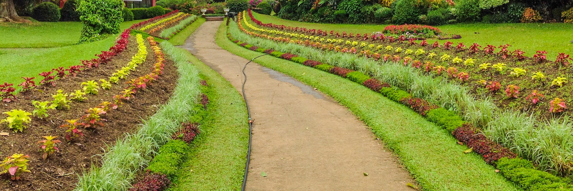 Royal Botanical Garden in Peradeniya, Sri Lanka.