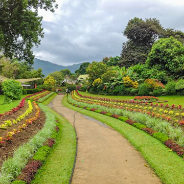 Royal Botanical Garden in Peradeniya, Sri Lanka.