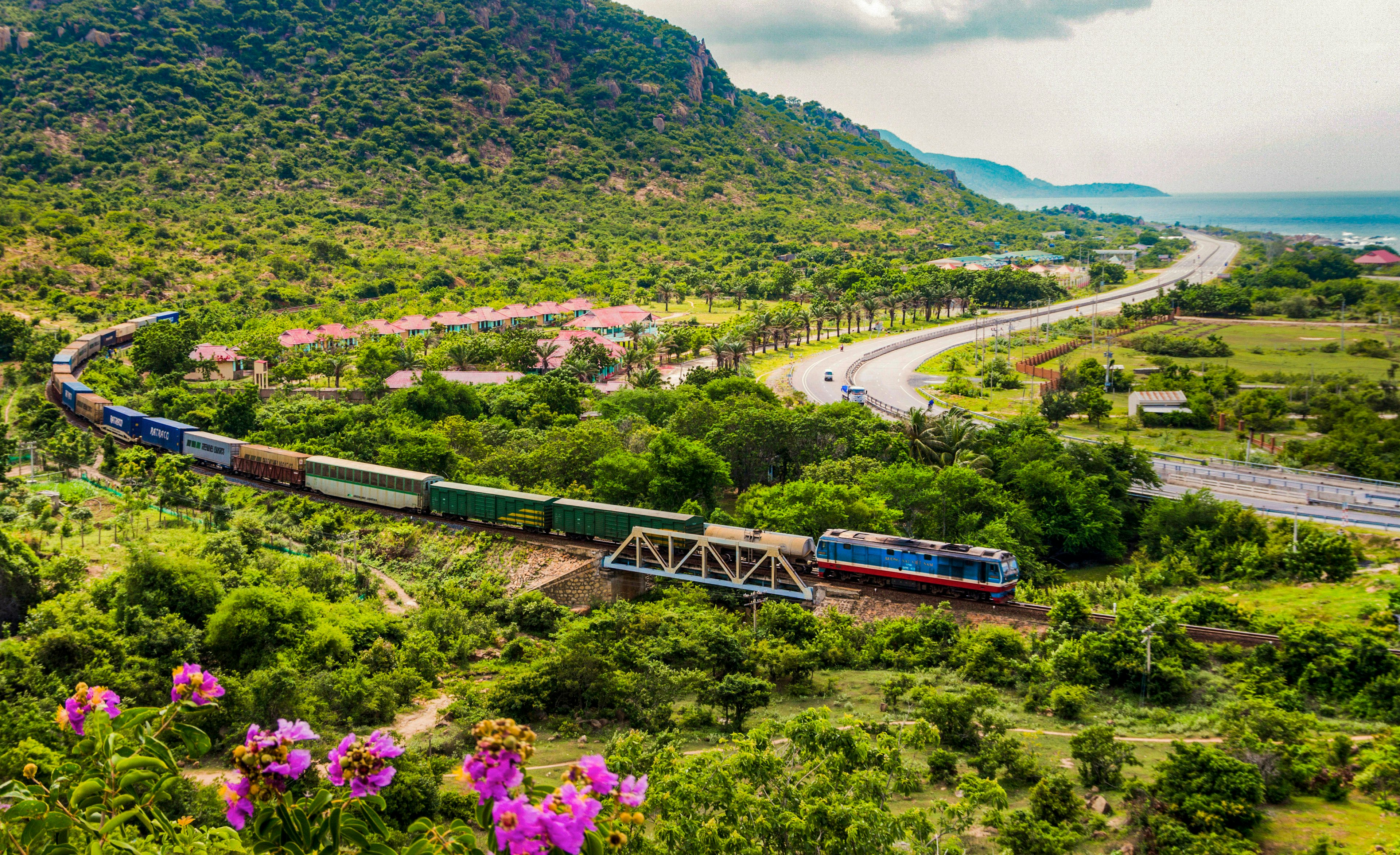 A train travels through a lush environment with trees alongside the coastline.