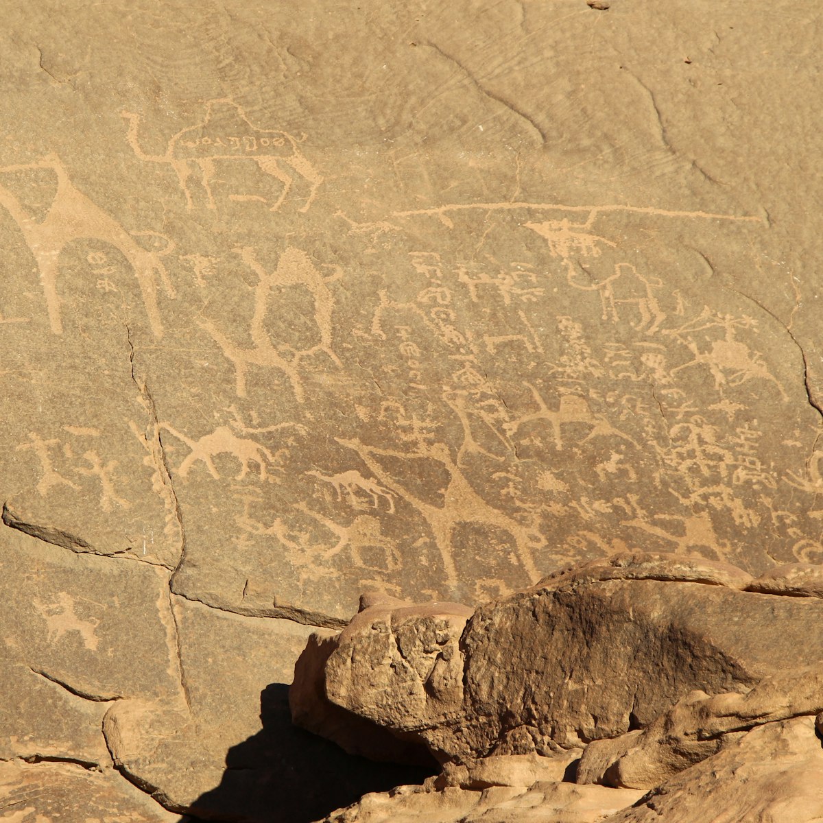 Petroglyphs (Alameleh inscriptions) of a caravan of camels on the sandstone rock in Wadi Rum desert in Jordan.