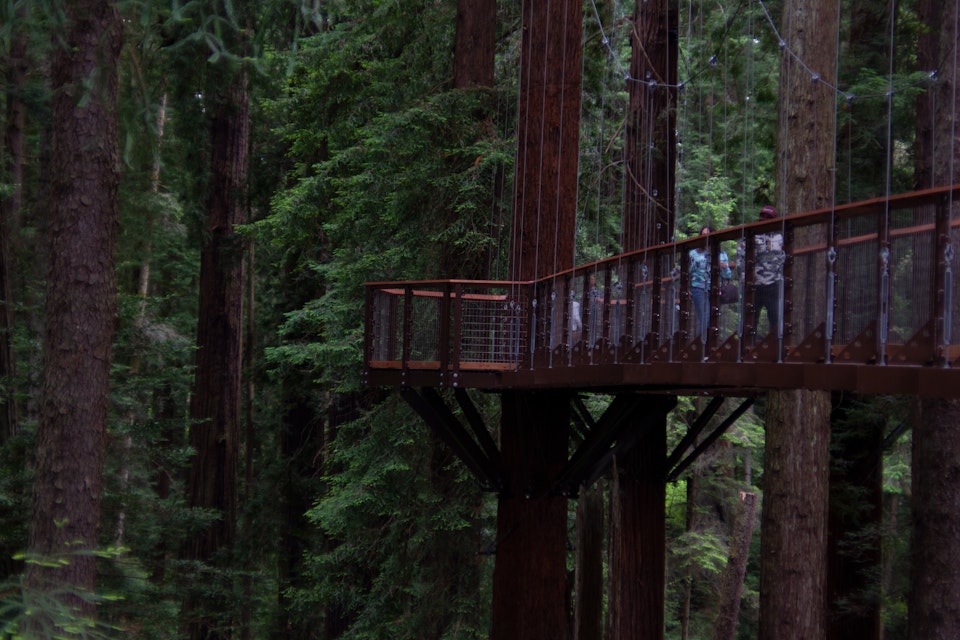 Tourists walk across a bridge on the Redwood Sky Walk in the Sequoia Park Zoo.