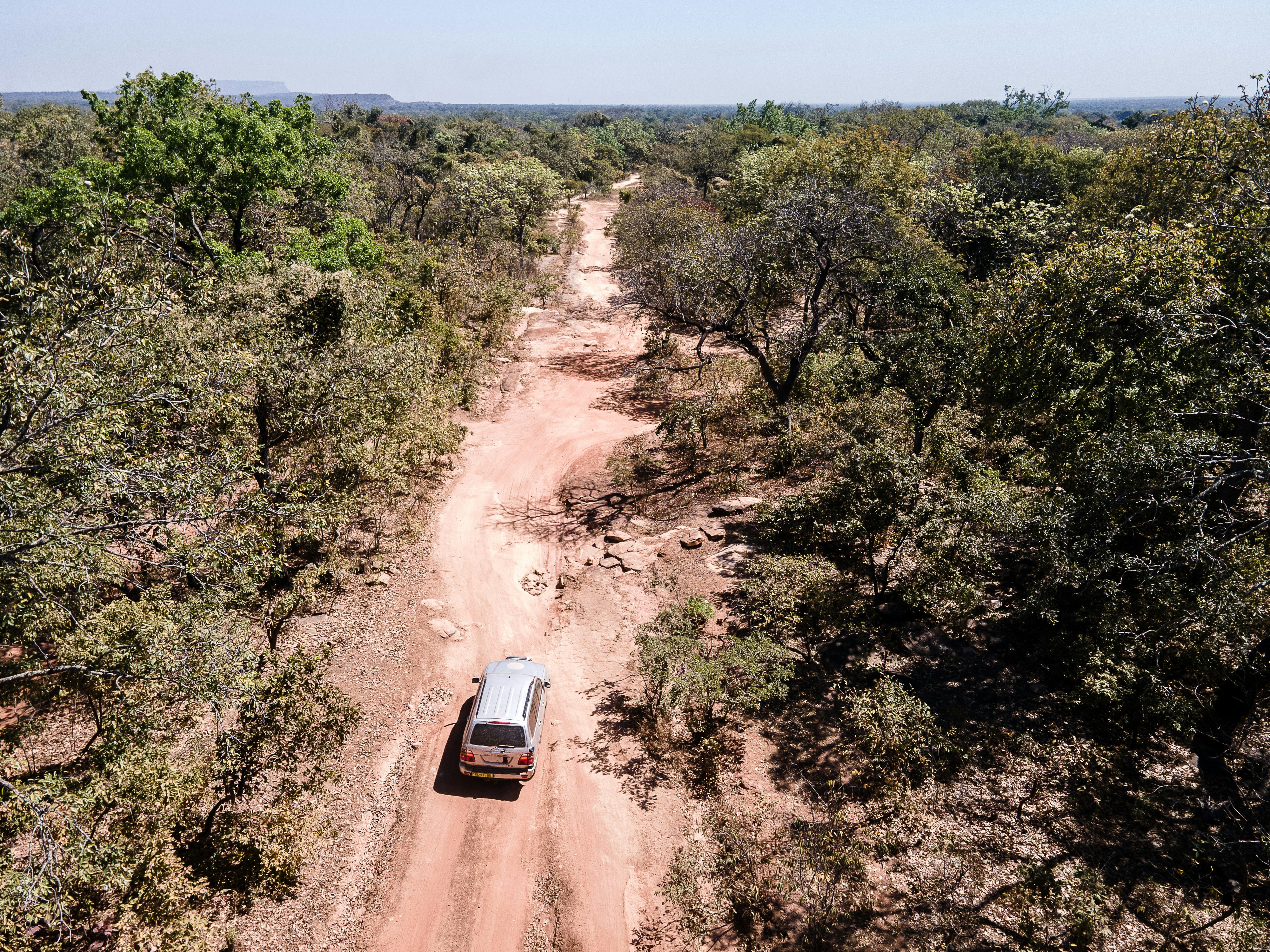 A jeep drives down a red dusty road between the trees. 
