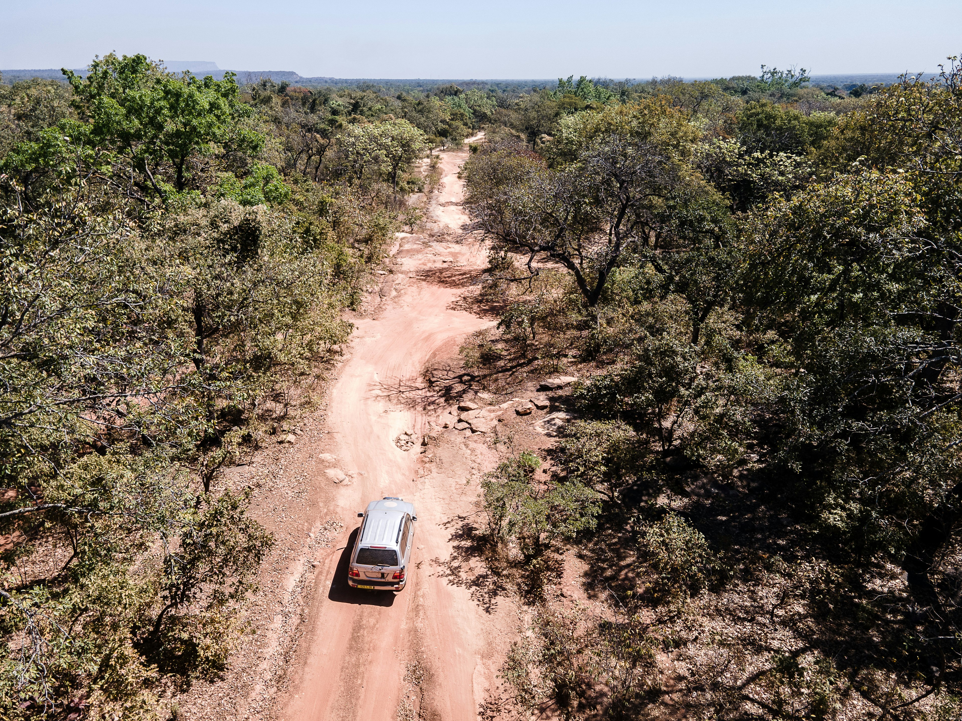 A jeep drives down a red dusty road between the trees.