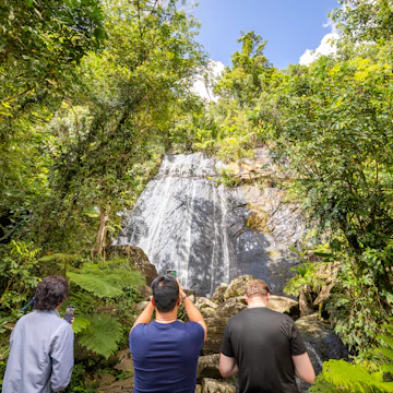 El Yunque National Forest
