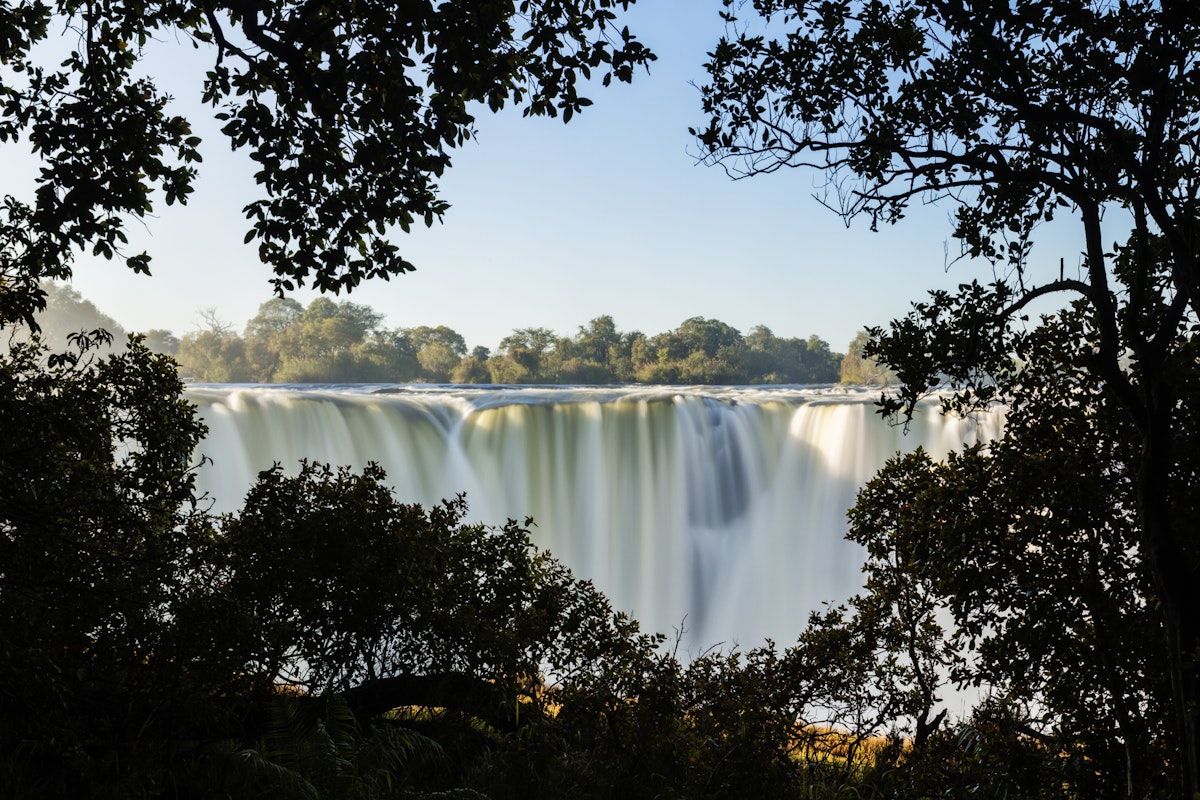 Trees in front of Victoria Falls, Matabeleland North, Zimbabwe