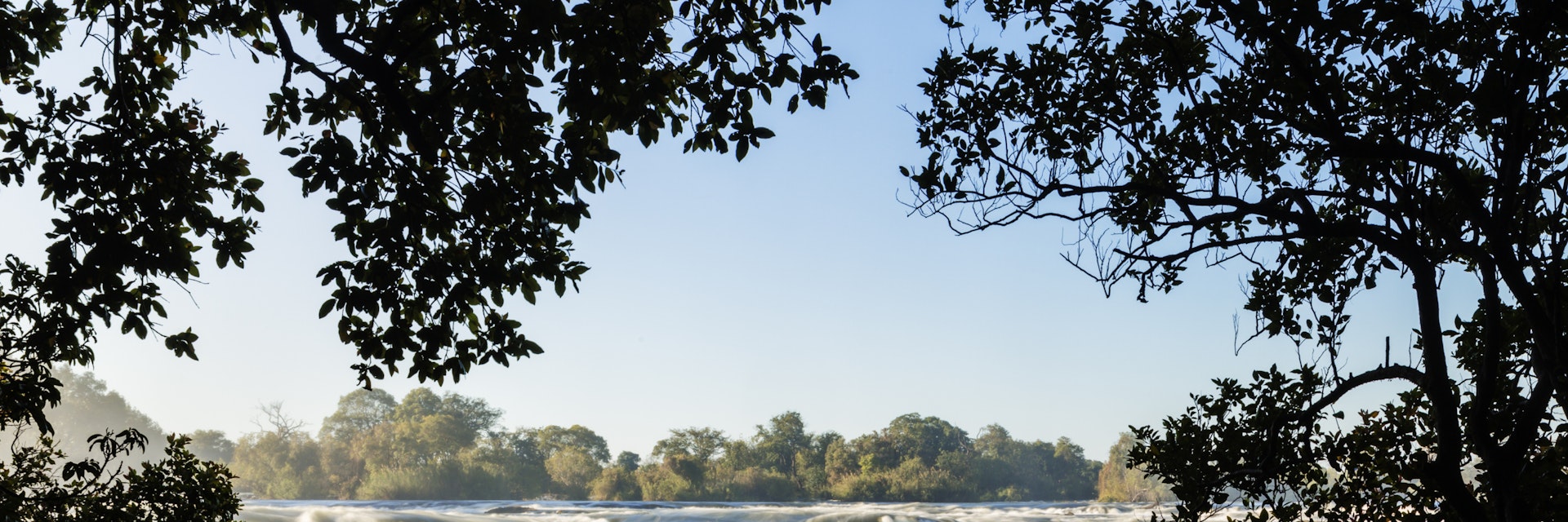 Trees in front of Victoria Falls, Matabeleland North, Zimbabwe