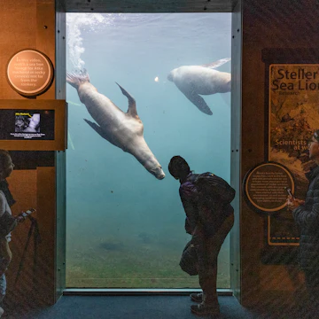 Alaska Sealife Center in Seward.