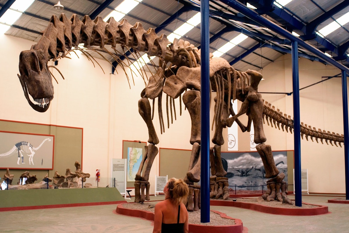 Dinosaur replica at Carmen Funes Municipal Museum.

