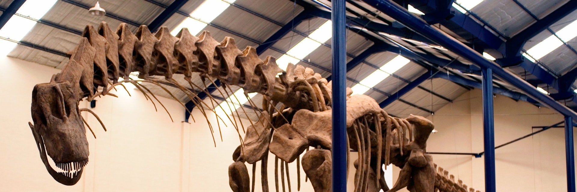 Dinosaur replica at Carmen Funes Municipal Museum.
