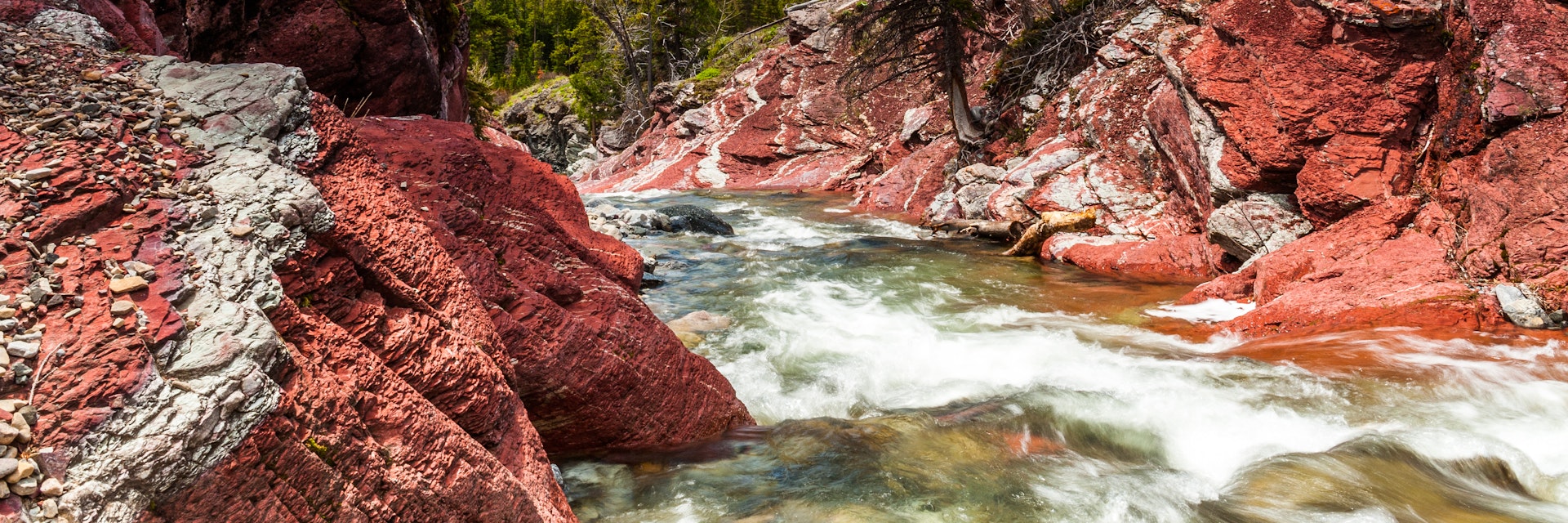 Red Rock creek in motion and canyon in Waterton Lakes National park, alberta, canada; Shutterstock ID 366870593; purchase_order: 65050; job: ; client: ; other:
366870593