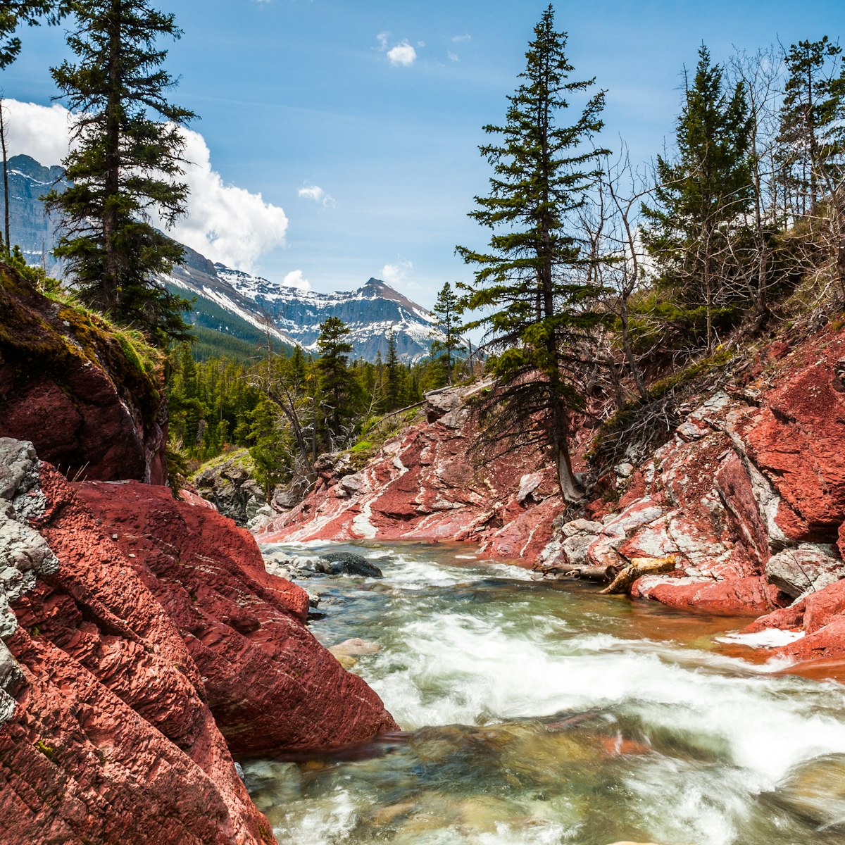 Red Rock creek in motion and canyon in Waterton Lakes National park, alberta, canada; Shutterstock ID 366870593; purchase_order: 65050; job: ; client: ; other:
366870593