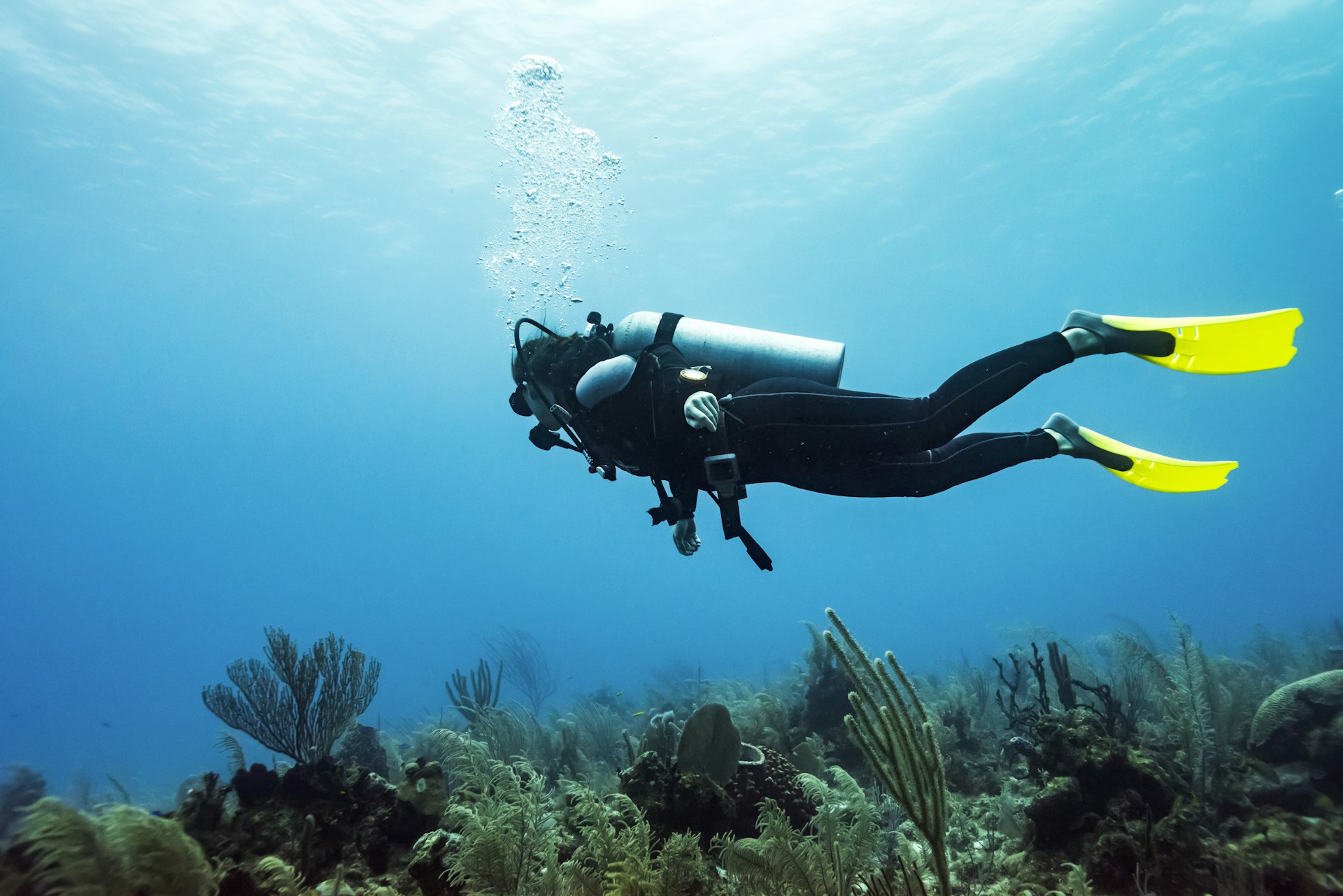 A diver swims through clear, blue waters in Belize