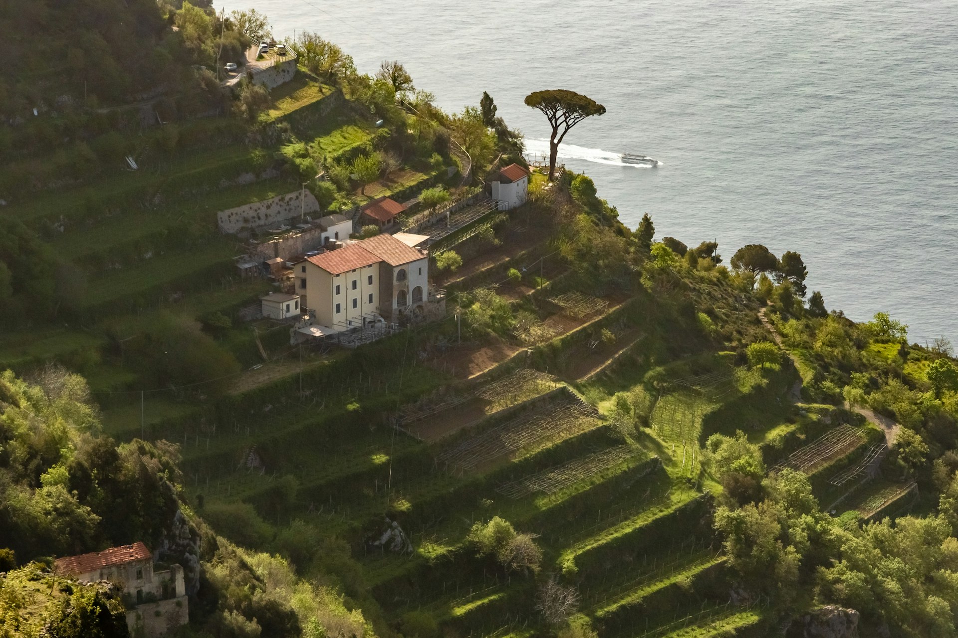 Looking down on a lush coastal vineyard and a building on the edge. 