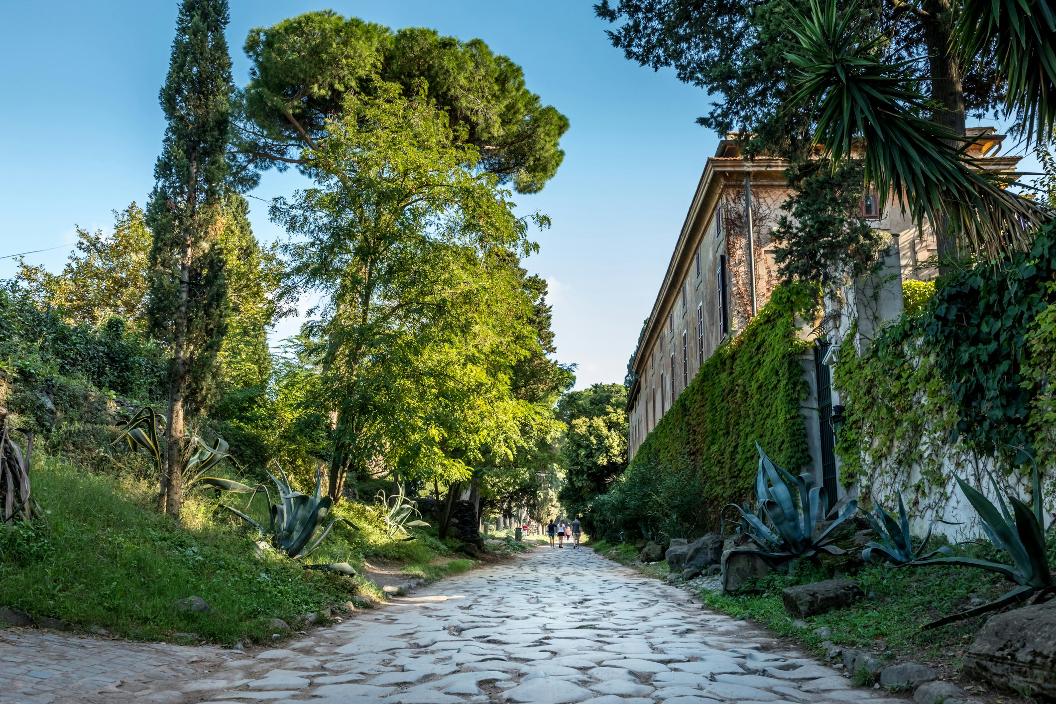 The stunning Appia Antica.