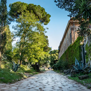 The Appian way, Via Appia Antica
1150350481
park, antica, appia, appian, beautiful, country, countryside, culture, european, historic, italian, landmark, landscape, mediterranean, outdoor, path, pine, roads, roma, rome, rural, southern, stone, transport, via, way