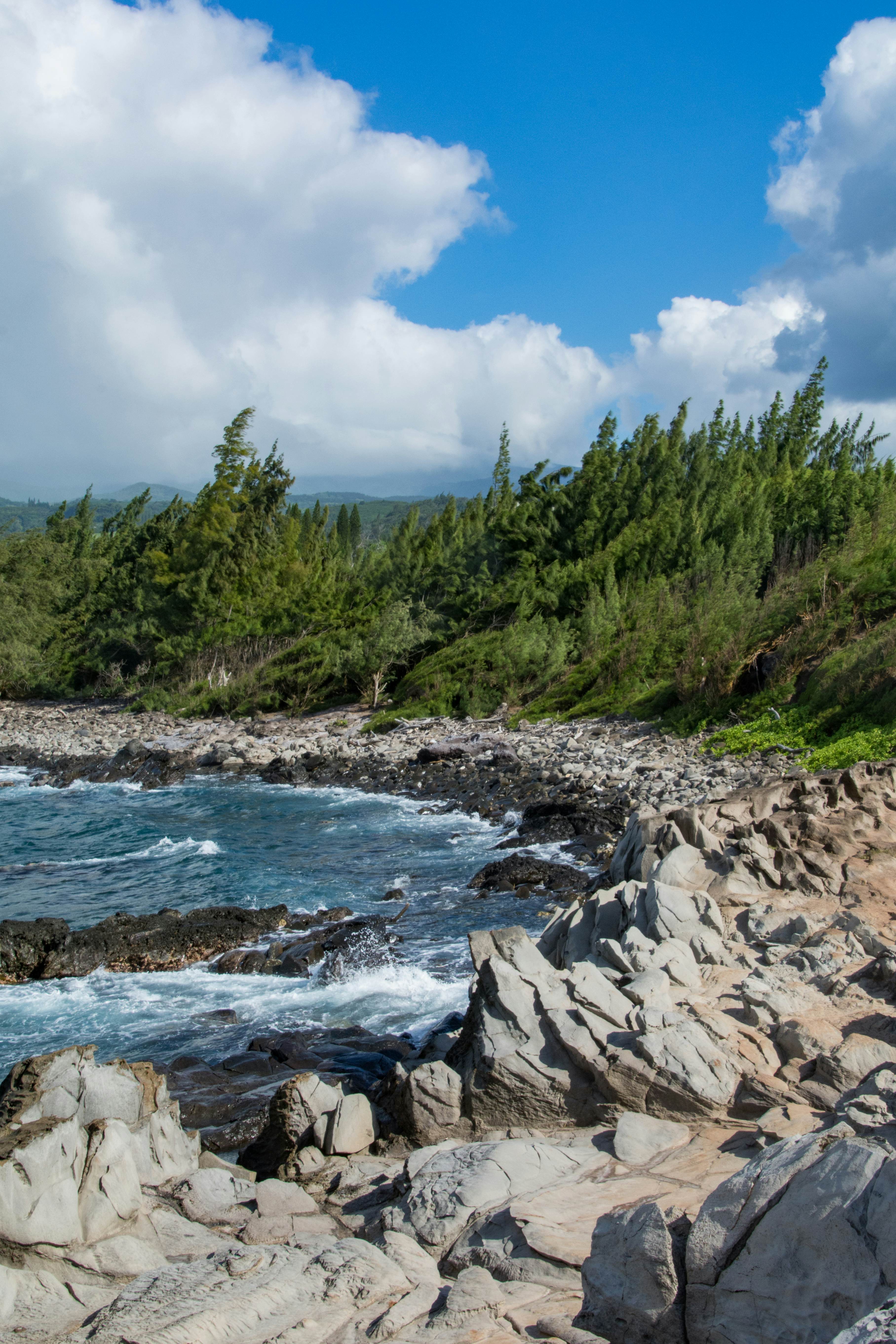 Sharp vertical rocks beaten by the waves of the Pacific
1167851846
makaluapuna point, dragons teeth