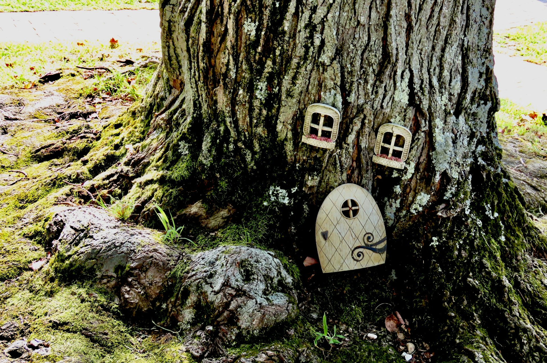 A fairy door and two tiny windows at the base of a tree