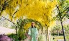 A visitor walks underneath an arch of blossoming Laburnum, sometimes called golden chain or golden rain, behind Kew Palace, in Kew Gardens, London. Picture date: Thursday May 25, 2023. (Photo by Jonathan Brady/PA Images via Getty Images)
1257867489